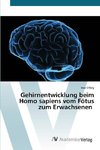 Gehirnentwicklung beim Homo sapiens vom Fötus zum Erwachsenen