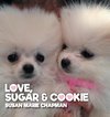 Love Sugar & Cookie