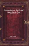 Commentary on the Gospel According to John