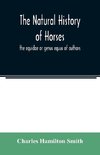 The natural history of horses