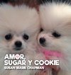 Amor, Sugar y Cookie