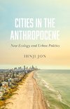 Cities in the Anthropocene