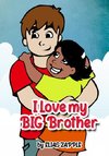 I Love My Big Brother