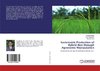 Sustainable Production of Hybrid Rice through Agronomic Manipulation