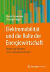 Elektromobilität und die Rolle der Energiewirtschaft