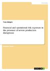 Financial and operational risk exposure in the presence of severe production disruptions