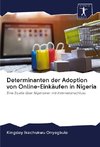 Determinanten der Adoption von Online-Einkäufen in Nigeria