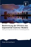 Bestimmung der Effizienz des Exponential-Gamma-Modells