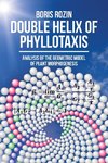 Double Helix of Phyllotaxis