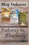 Pathway to Pemberley - A Pride and Prejudice Variation Series