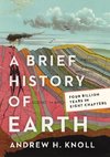 A Brief History of Earth