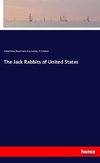 The Jack Rabbits of United States
