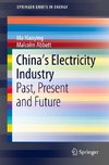 China's Electricity Industry