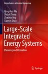 Large-Scale Integrated Energy Systems