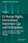 EU Human Rights, International Investment Law and Participation