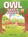 Owl Says a Prayer