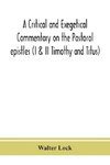 A critical and exegetical commentary on the Pastoral epistles (I & II Timothy and Titus)