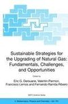 Sustainable Strategies for the Upgrading of Natural Gas: Fundamentals, Challenges, and Opportunities