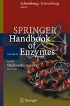 Springer Handbook of Enzymes 24
