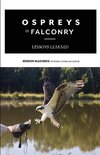 Ospreys in Falconry