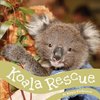 Koala Rescue