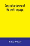 Comparative Grammar Of The Semitic Languages