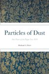 Particles of Dust