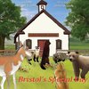 Bristol's Special Day