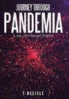Journey Through Pandemia