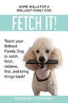 Fetch It!