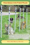 Four Dogs and Their Tales