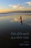 Think of the World as a Mirror Maze
