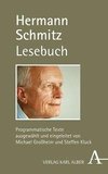 Hermann Schmitz Lesebuch