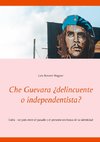 Che Guevara ¿delincuente o independentista?