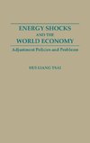 Energy Shocks and the World Economy