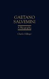 Gaetano Salvemini