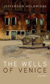 The Wells of Venice