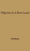 Pilgrims in a New Land.