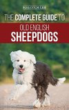 The Complete Guide to Old English Sheepdogs