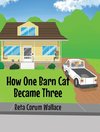 How One Barn Cat Became Three