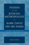Studies in the Judicial Methodology of Rabbi David ibn Abi Zimra