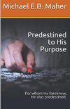Predestined to His Purpose