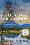 The Healer of Briarwood (Large Print)