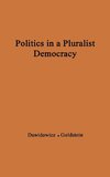 Politics in a Pluralist Democracy