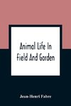 Animal Life In Field And Garden
