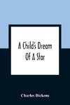 A Child'S Dream Of A Star