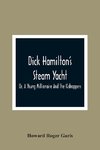 Dick Hamilton'S Steam Yacht, Or, A Young Millionaire And The Kidnappers