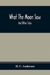 What The Moon Saw; And Other Tales