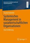 Systemisches Management in sozialwirtschaftlichen Organisationen