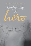 Confronting a Hero